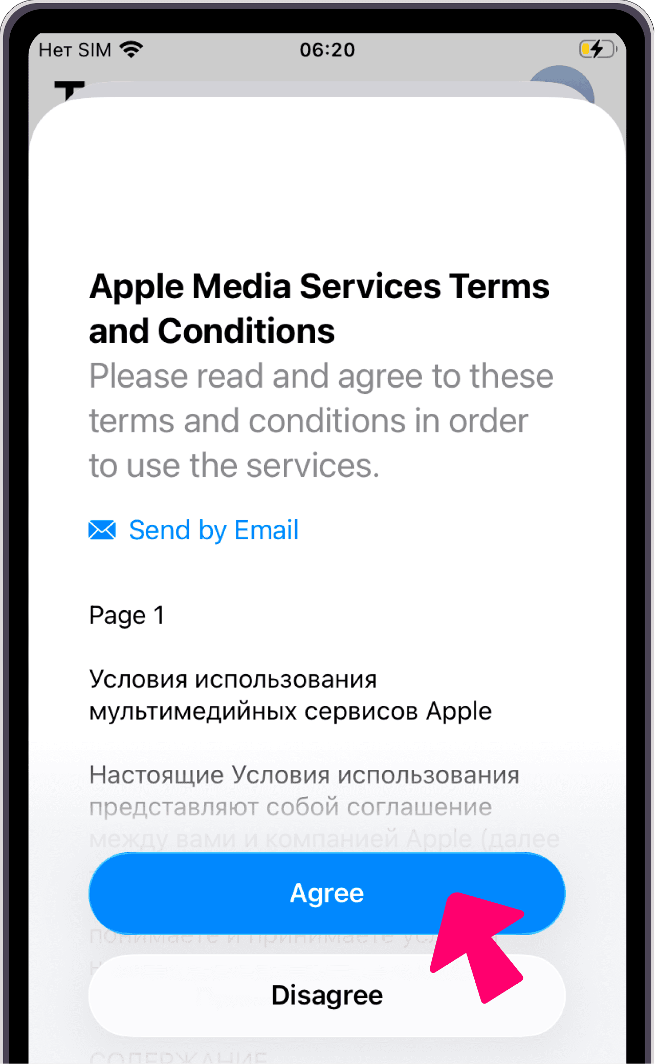 Terms and Conditions — Accept